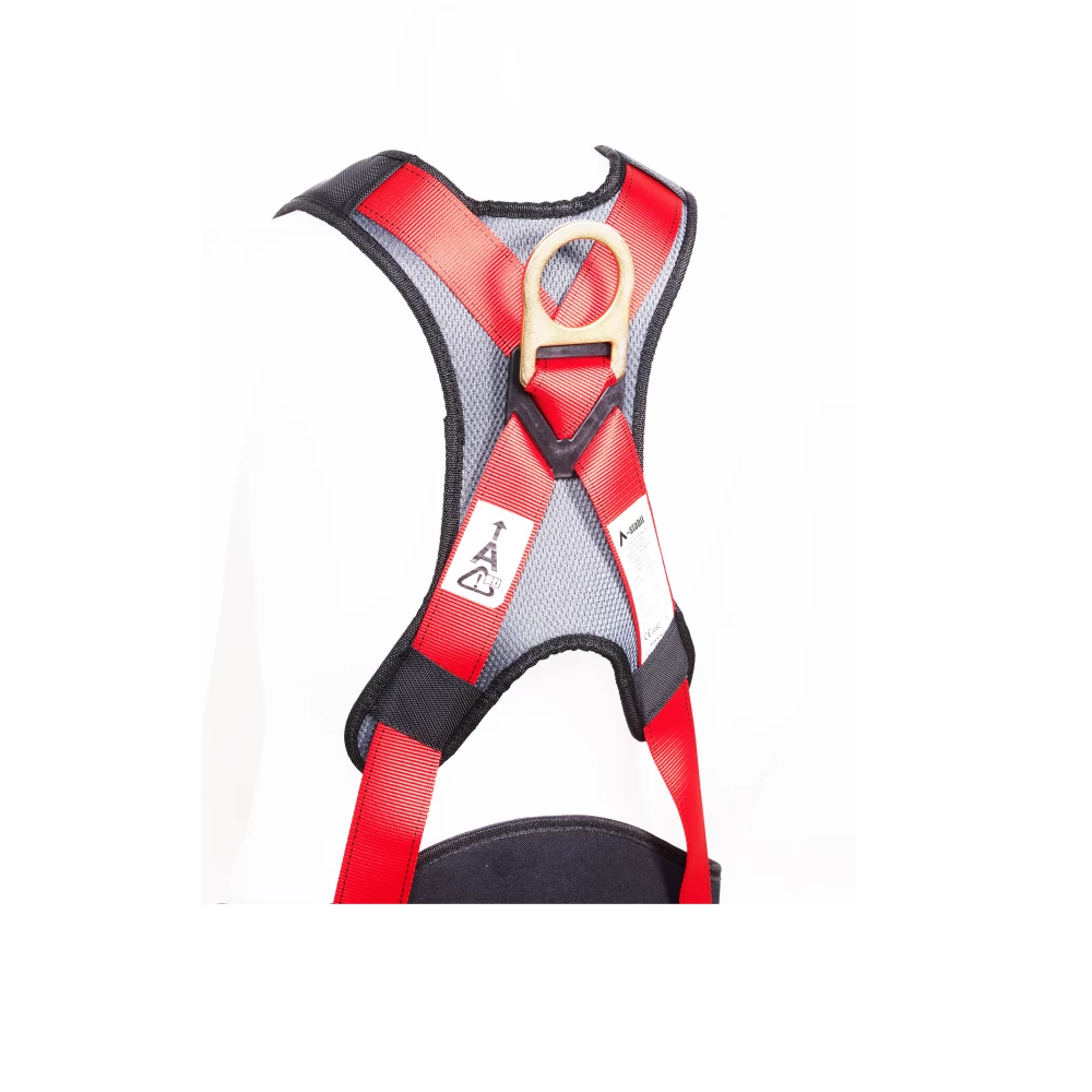 Full Body Harness 50605